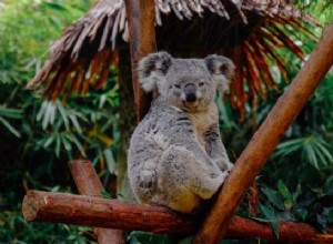 Incendies australiens - Prédictions d astrologie 