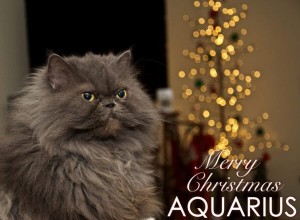 Postales navideñas de astrología animal 