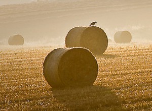 El equinoccio de otoño 