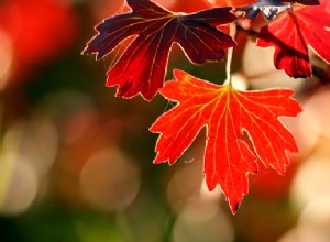 Kurz vor der Herbst-Tagundnachtgleiche 