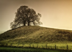 Hill – Drømmebetydning og symbolik 