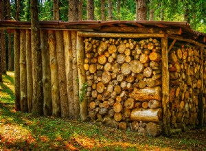 Bois de chauffage dans un rêve - Signification et symbolisme 