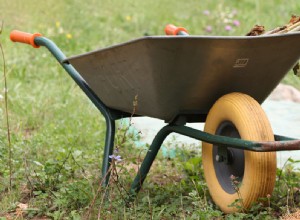 Καρότσι σε ένα όνειρο – νόημα και συμβολισμός 