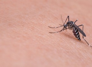 Soñar con Mosquitos – Significado y Simbolismo 