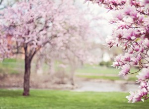 Significado de la primavera en un sueño 