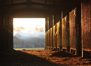 Stable - Signification et interprétation des rêves 