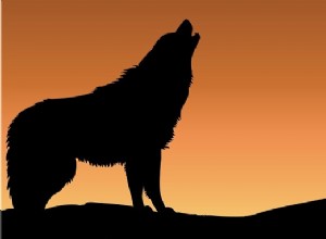 Sueños con Lobos – Interpretación y Significado 