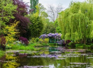 O que significa sonhar com jardim? 