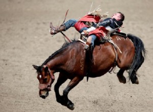 Que signifie rêver de Stampede ? 