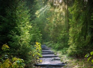 Significado y Simbolismo de Soñar con Bosque 