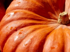 Soñar con Calabaza Significado y Simbolismo 