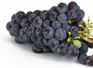 Soñar con Uvas – Significado y Simbolismo 