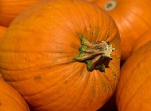 Calabaza – Significado y Simbolismo de los Sueños 