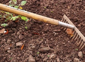 Όνειρο Καλλιεργούμενης Γης – Νόημα και Συμβολισμός 