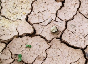 Significado de soñar con suelo:Habrá desafíos para ti 