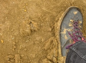 Interprétation des rêves de chemin:votre chemin vers la vérité 