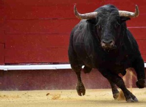 Toro en sueños:60 tramas y su significado 