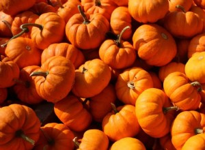 Soñar con calabaza:102 formas de analizarla 