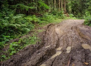 Sueños con barro:significado e interpretación