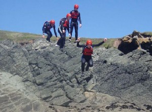 崖から飛び降りる夢の意味と解釈