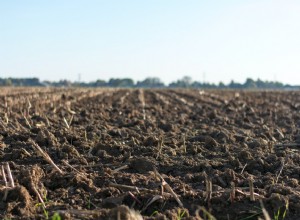 La signification et l interprétation des rêves de terre