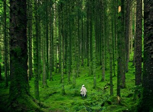 El significado y la interpretación de los sueños sobre la naturaleza