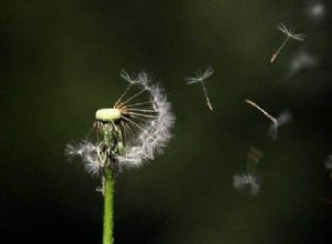 Soñar con viento – significado e interpretación del sueño