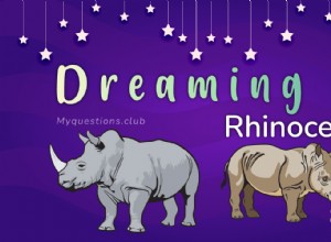 RÊVER DE RHINOCEROS