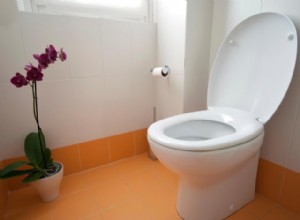 Rêver de toilettes/excréments