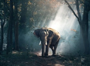 Éléphant – Signification et symbolisme des rêves